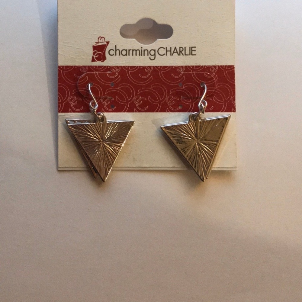 Brand New Charming Charlie Silver Earrings